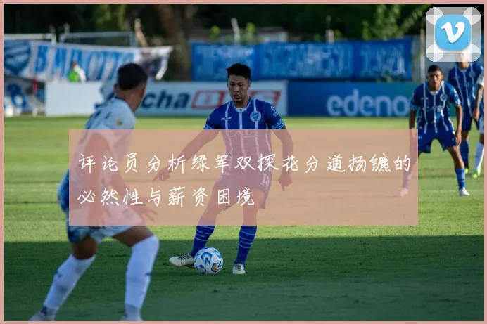 评论员分析绿军双探花分道扬镳的必然性与薪资困境