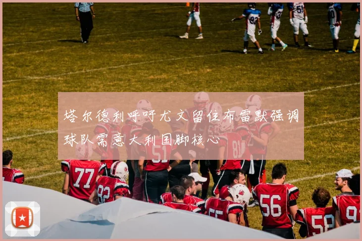 塔尔德利呼吁尤文留住布雷默强调球队需意大利国脚核心